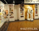 stadion and museum donbass-arena_3